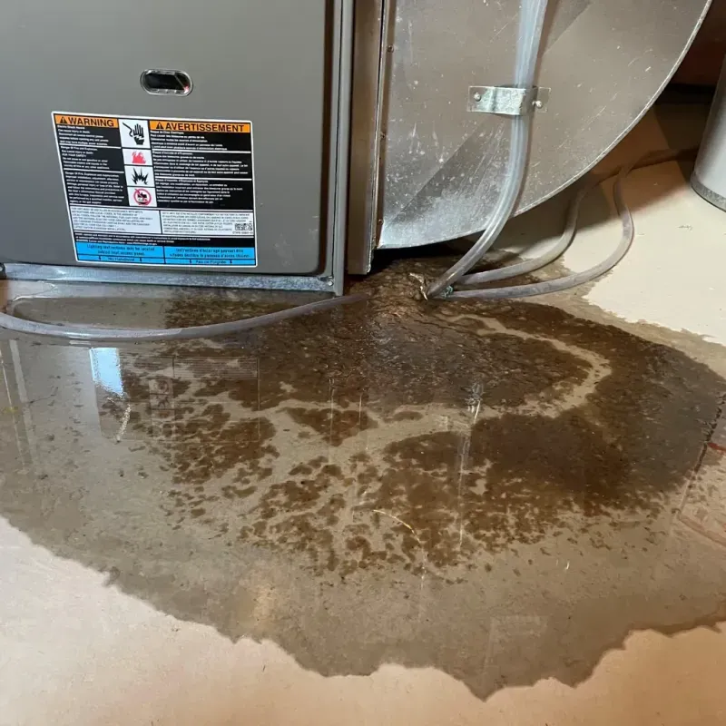 Appliance Leak Cleanup in Aberdeen, ID